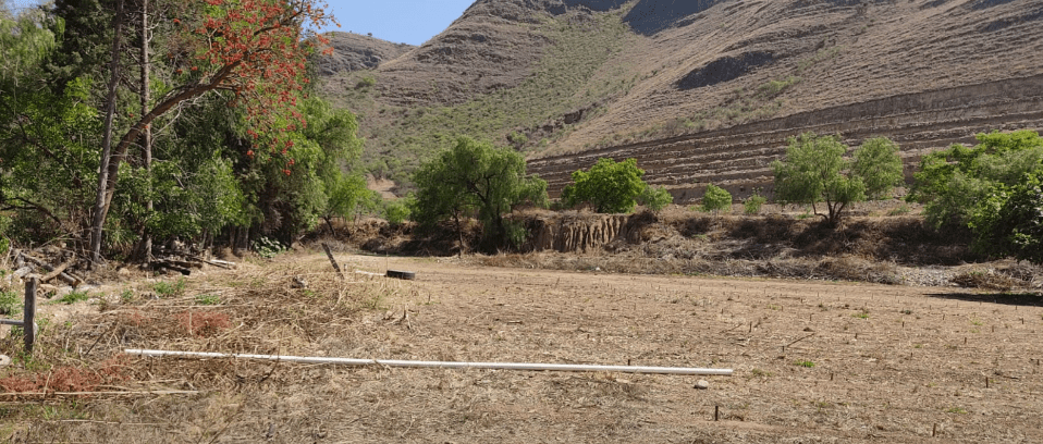 DETECTAN CONSTRUCCIÓN CLANDESTINA DE UN CEMENTERIO EN ERQUIS&nbsp;OROPEZA