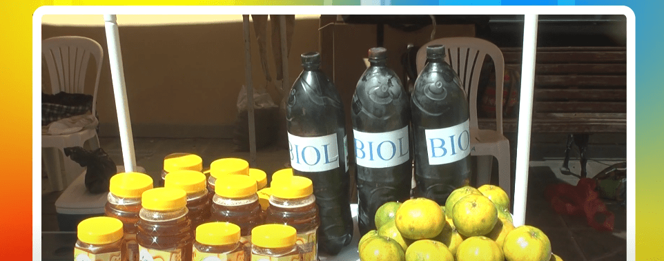 ALIENTAN A FAMILIAS DEDICARSE A LA AGRICULTURA&nbsp;SOSTENIBLE