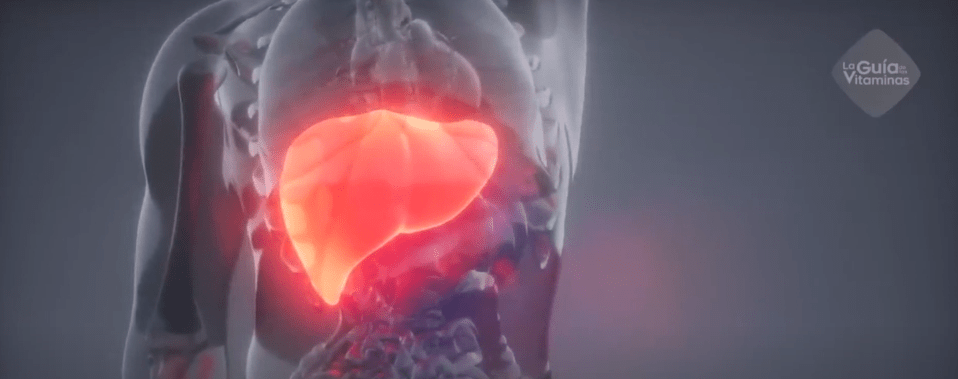 RECOMIENDAN CUIDAR EL HÍGADO CON UNA DIETA&nbsp;SALUDABLE