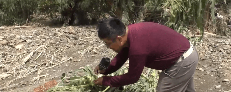 DESBORDE DE QUEBRADA ARRASTRA ANIMALES Y CULTIVOS EN&nbsp;PAICHO