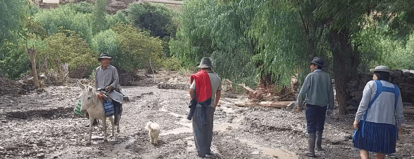 EVALÚAN DAÑOS EN HUERTA HUAYCO CASTIGADA POR DESBORDE DE&nbsp;QUEBRADA
