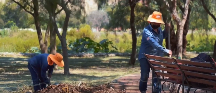 ORNATO MUNICIPAL PROCEDE AL DESMALEZADO DE AREAS&nbsp;VERDES