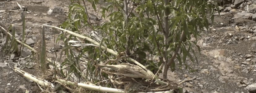 MUNICIPIO DISPONDRÁ DE CUADRILLAS DE RESCATE EN CASOS DE&nbsp;EMERGENCIA