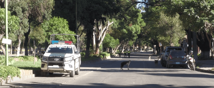 PESE A OBSERVACIONES CENSO EN TARIJA ALCANZA&nbsp;ÉXITO