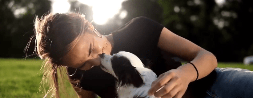 ¡CUIDADO! LAMIDO DE MASCOTAS PUEDE TRANSMITIR&nbsp;ENFERMEDADES