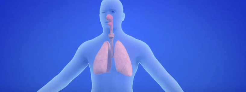 DESPUES DEL COVID HAY QUE CUIDAR LOS&nbsp;PULMONES