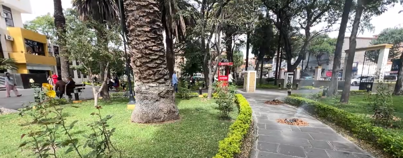 ENJAMBRE DE ABEJAS ATACAN A LITIGANTES EN EL TRIBUNAL DE JUSTICIA UN SUJETO FUE EVACUADO AL&nbsp;HOSPITAL