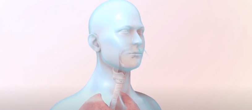 EL ASMA SURGE A TEMPRANA EDAD Y DEBE SER&nbsp;CONTROLADO