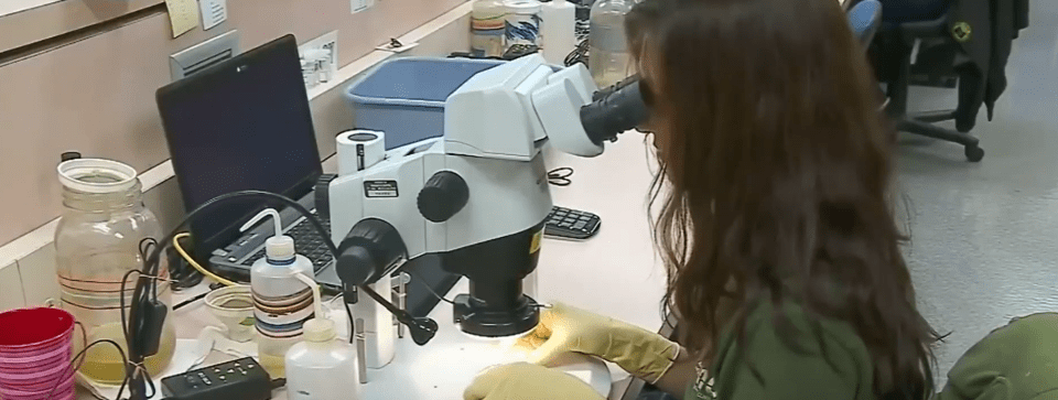 RECOMIENDAN VACUNARSE CONTRA LA POLIOMIELITIS QUE CAUSA&nbsp;PARÁLISIS