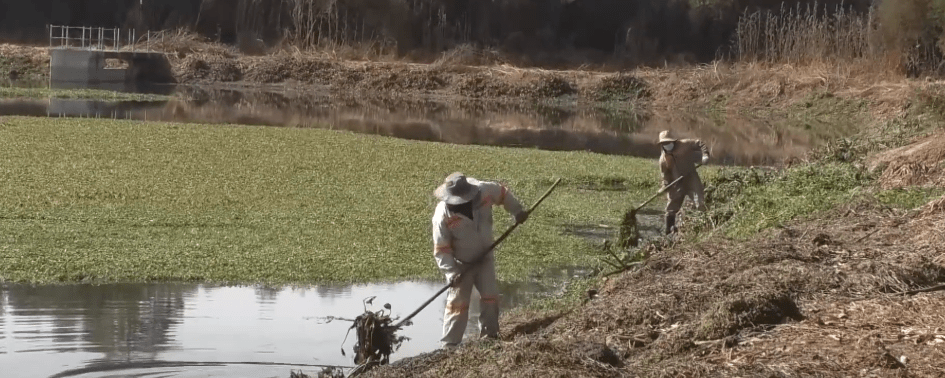 SEGÚN SU PRESIDENTA COSAALT REALIZA MITIGACIÓN DE OLORES EN&nbsp;LAGUNAS
