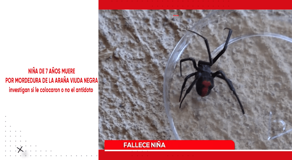 TITULARES TELEPAIS TARIJA JUEVES 9 DE MAYO DE&nbsp;2024