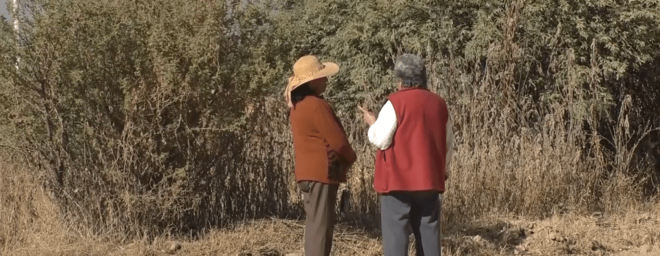 CONCEJAL ROMERO PREOCUPADA POR OLA DE ROBOS EN CASAS Y EN LAS&nbsp;CALLES