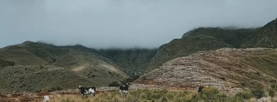 MUNICIPIO ENTREGA RECURSOS PARA EL CONTROL DE LA RESERVA DE&nbsp;SAMA