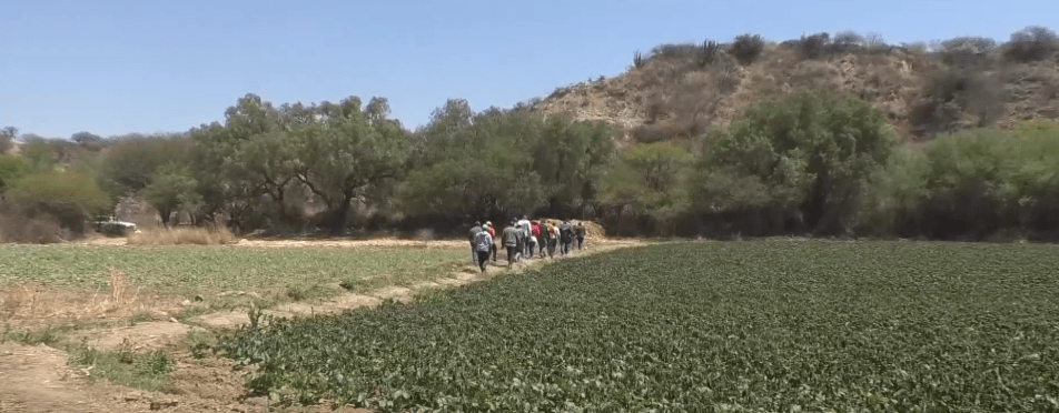 CAMPESINOS ADOPTAN MEDIDAS PREVENTIVAS ANTE LLEGADA DE&nbsp;HELADAS