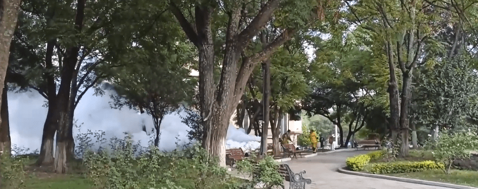 RECOMIENDAN DESHECHAR RECIPIENTES DE AGUA PARA EVITAR EL&nbsp;DENGUE