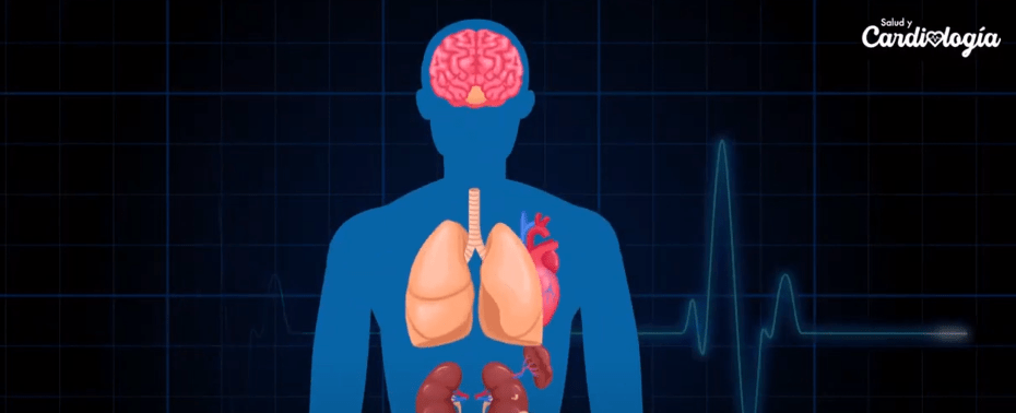 ACTIVIDAD FÍSICA Y DIETA PREVIENEN HIPERTENSIÓN&nbsp;ARTERIAL