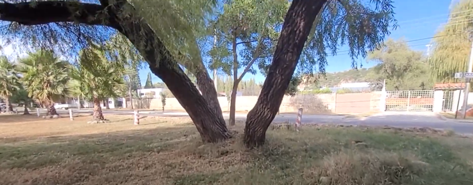 CONSOLIDAN PARQUE URBANO DE ARANJUEZ CON 14&nbsp;HECTAREAS