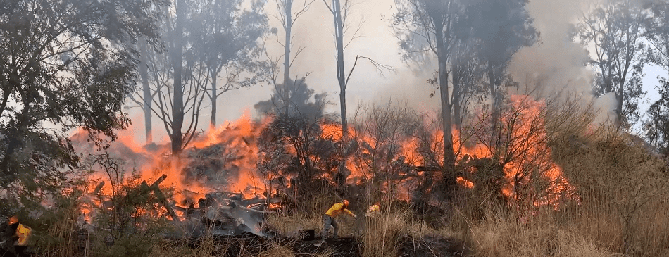 INCENDIO EN SELLA MOTIVA A AUTORIDADES DEMANDAR A&nbsp;RESPONSABLES