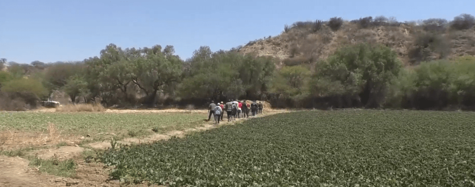HELADAS AFECTARON CULTIVOS DEL VALLE CENTRAL Y DE LA ZONA&nbsp;ALTA