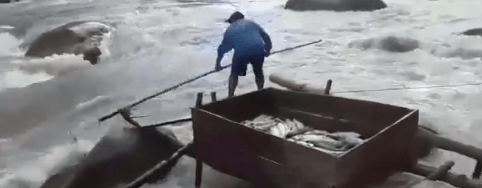 ENJUICIARÁN A QUIÉNES INCUMPLAN NORMAS EN LA PESCA DEL&nbsp;SÁBALO