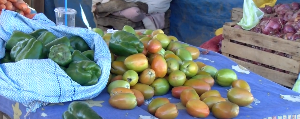 SENASAG PROHÍBE EXPORTACIÓN DE TOMATE Y CEBOLA A LA&nbsp;ARGENTINA