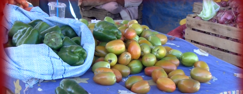 PAPA, TOMATE Y CEBOLLA SUBEN DE PRECIO POR VARIAS&nbsp;RAZONES