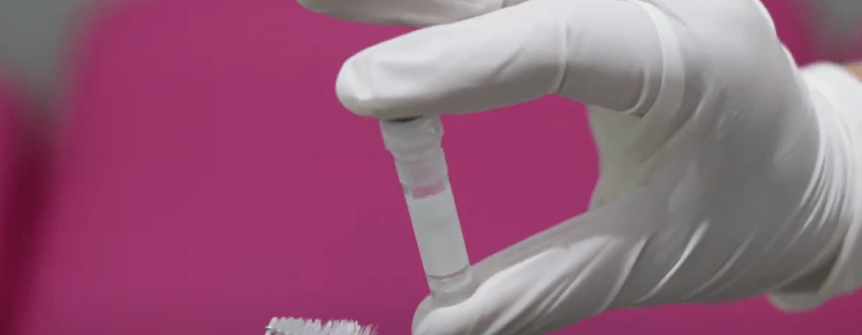 PRUEBA DE POLIMERASA PUEDE DETECTAR CÉLULAS&nbsp;CANCEROSAS