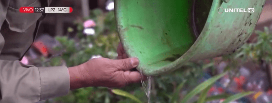 EL FRIO INVERNAL PROVOCA DESCENSO NOTABLE DE CASOS DE&nbsp;DENGUE