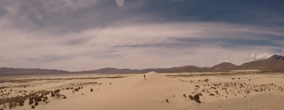 LLAMAS Y VICUÑAS SON ATRACTIVOS TURÍSTICOS EN ZONA&nbsp;ALTA