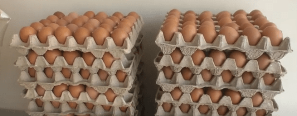 AVICULTORES ASEGURAN QUE EL KILO DE POLLO SE VENDE A 16 Bs. COMO&nbsp;MÁXIMO