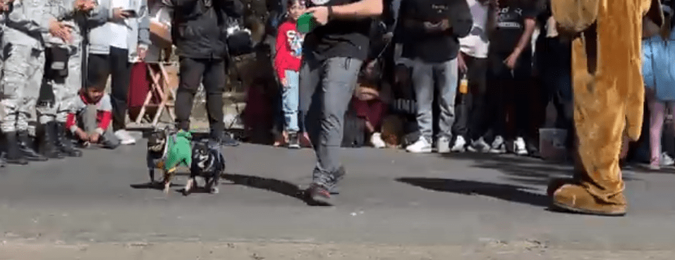 POR SU PARTE EL DUEÑO DEL MINIVAN, ALEXANDER RUIZ JIMENEZ, NIEGA CUALQUIER AYUDA A&nbsp;INGRID