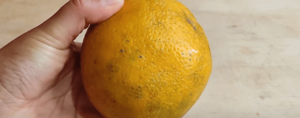 PARA ALIVIAR LOS RESFRÍOS PRUEBE LA NARANJA&nbsp;ASADA