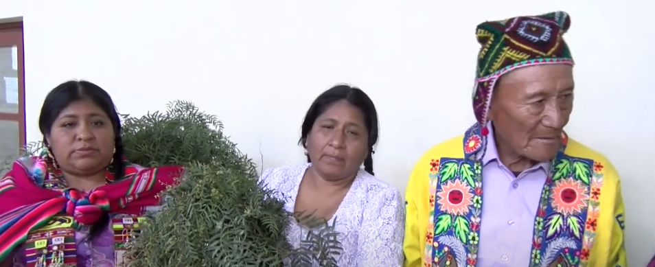 MÉDICOS NATURISTAS SE SUMAN AL FESTEJO POR  LA LLEGADA DEL AÑO NUEVO&nbsp;AYMARA