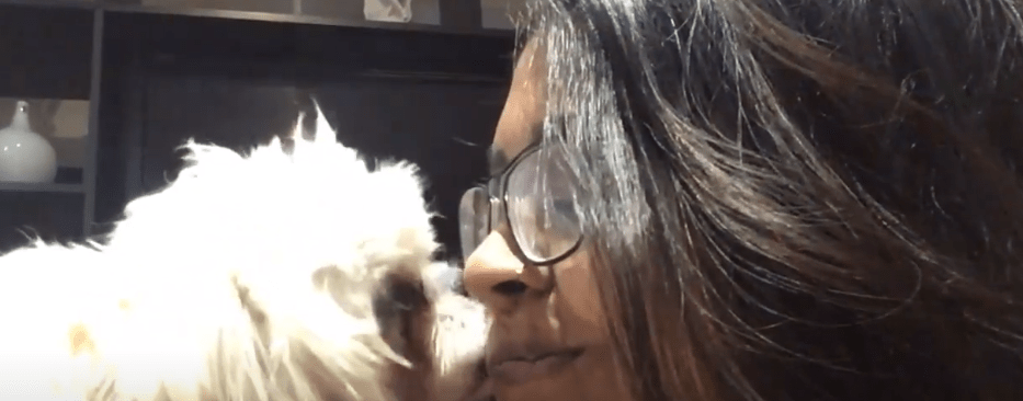 LAMIDAS DE MASCOTAS PUEDEN TRANSMITIR ENFERMEDADES A LAS&nbsp;PERSONAS