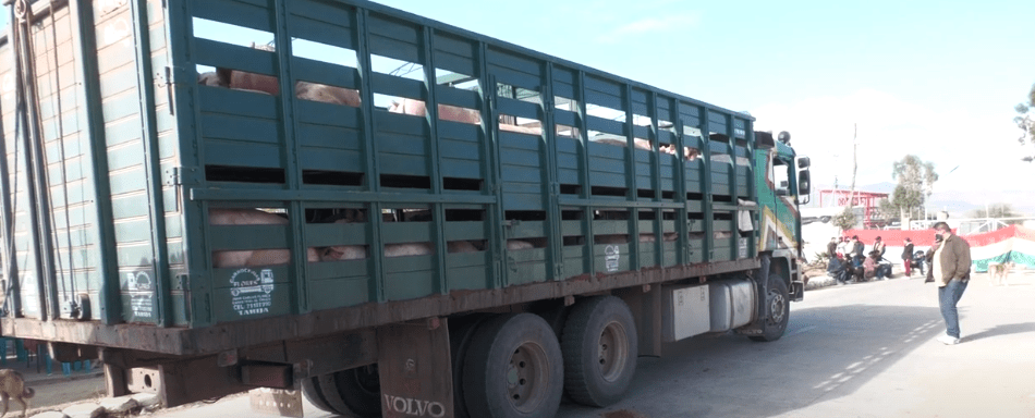 GANADEROS BLOQUEAN MATADERO PARA EVITAR INGRESO DE&nbsp;CONTRABANDO