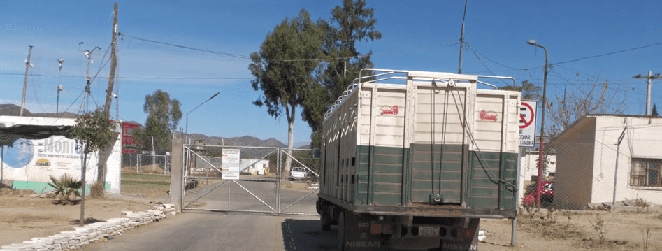 BLOQUEO EN EL MATADERO IMPIDIÓ INGRESO DE ANIMALES PARA SER&nbsp;FAENEADOS