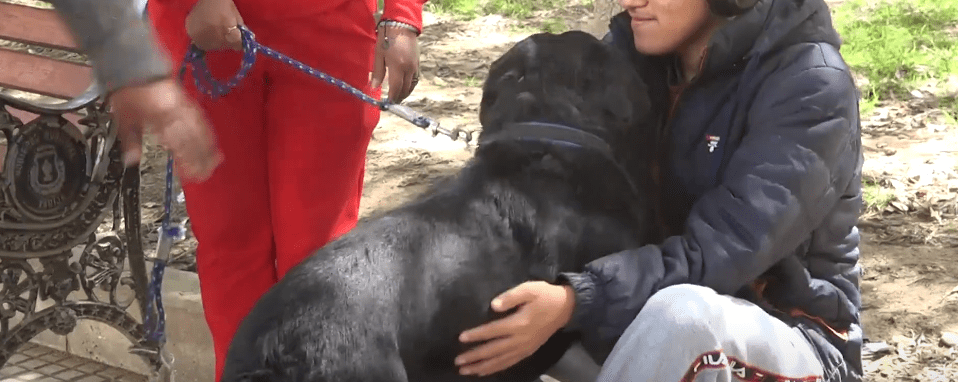 FIN DE SEMANA CON MASIVA VACUNACIÓN ANTIRRÁBICA DE PERROS Y&nbsp;GATOS
