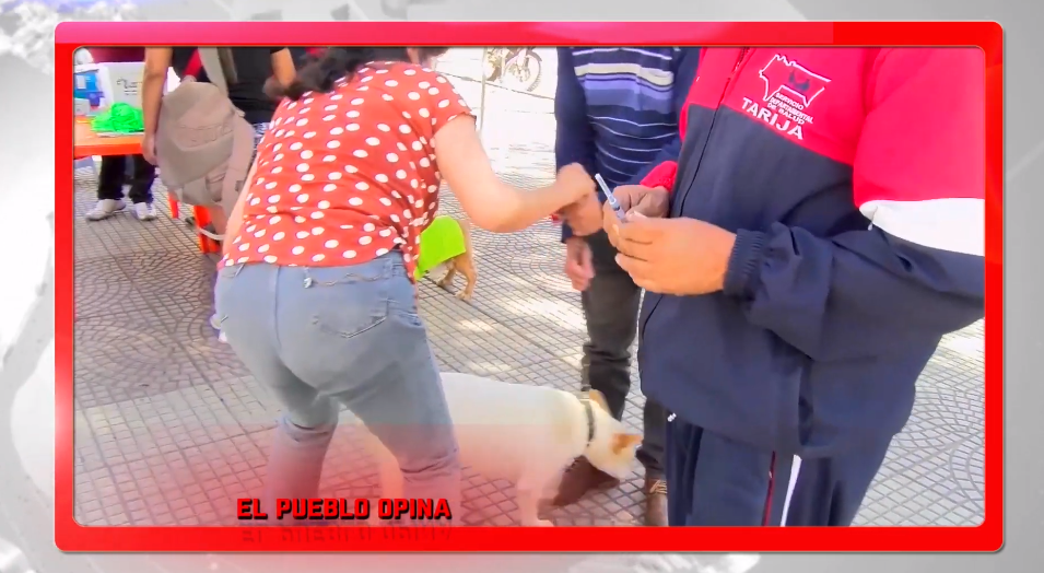 HAY CONCIENCIA CIUDADANA PARA ASISTIR MASIVAMENTE A&nbsp;VACUNACIÓN