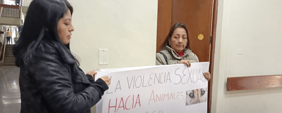 INICIAN JUICIO ORAL A  SUJETO POR COMETER ZOOFILIA CON UNA&nbsp;MASCOTA