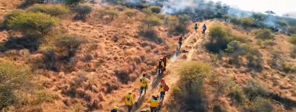 CHAQUEO PROVOCA INCENDIO EN TUCUMILLAS AFECTANDO 10&nbsp;HECTÁREAS