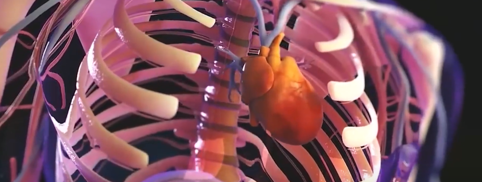 TARIJA OCUPA 5° LUGAR EN INCIDENCIA DE CÁNCER EN&nbsp;BOLIVIA