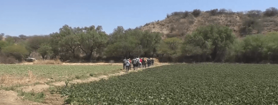 CAMPESINOS DE CERCADO CONSERVAN PRODUCCIÓN PORQUE HELADAS FUERON&nbsp;LEVES