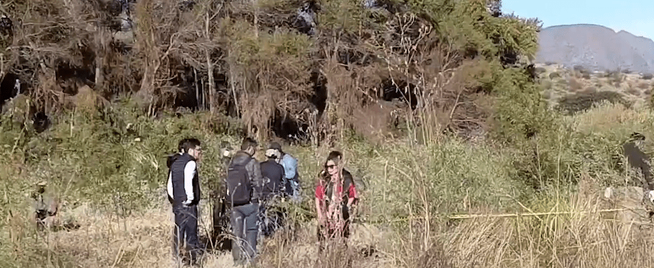 ESTUDIO DE ADN CONFIRMA QUE RESTOS ÓSEOS CORRESPONDEN A SINGRY&nbsp;PACO