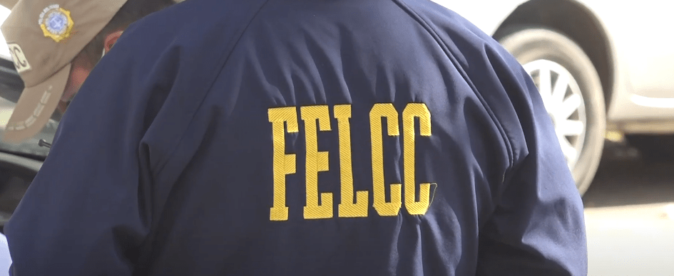 CRIATURA ABADONADA BAJO UN PUENTE FALLECE Y TERMINA&nbsp;DESMEMBRADA