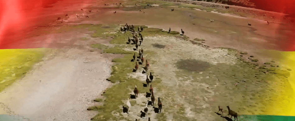 SONDEO: EL PAÍS NO ES LA BOLIVIA DE&nbsp;ANTES