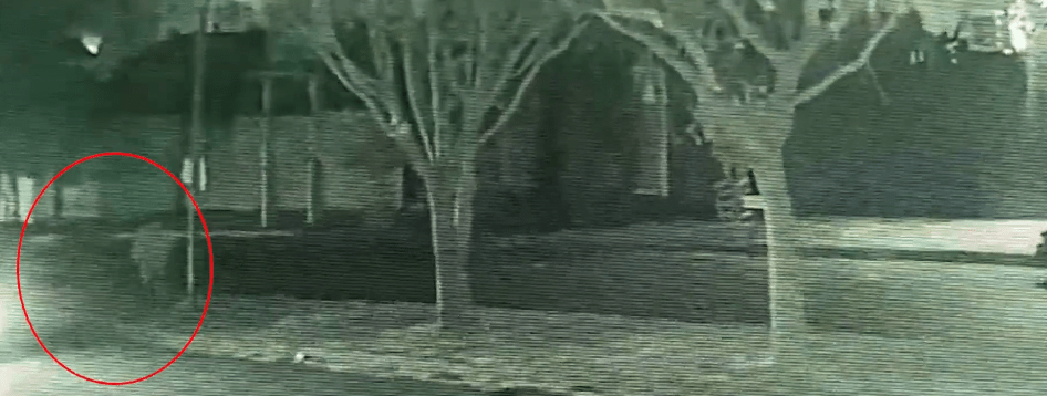 JUSTICIA DICTA SUSTITUTIVAS CONTRA MOTOCICLISTA QUE ATROPELLÓ A&nbsp;CICLISTA