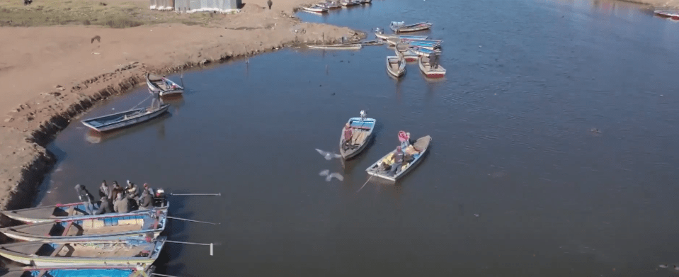PRODUCTOS PERUANOS DE CONTRABANDO COPA EL MERCADO POR BAJOS&nbsp;PRECIOS