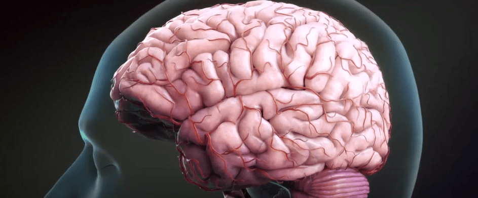 ¿QUE PUEDE PRESENTAR EL ANEURISMA EN LA&nbsp;GENTE?