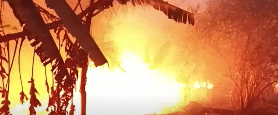 INCENDIOS DESTRUYEN FLORA Y FAUNA EN 2 MILLONES DE&nbsp;HECTÁREAS