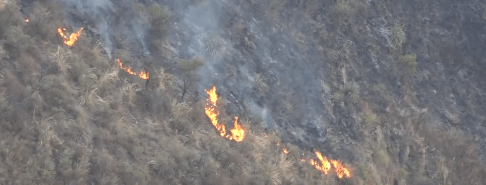 LA A.B.T. INICIA PROCESOS JUDICIALES A 5 PRESUNTOS&nbsp;INCENDIARIOS